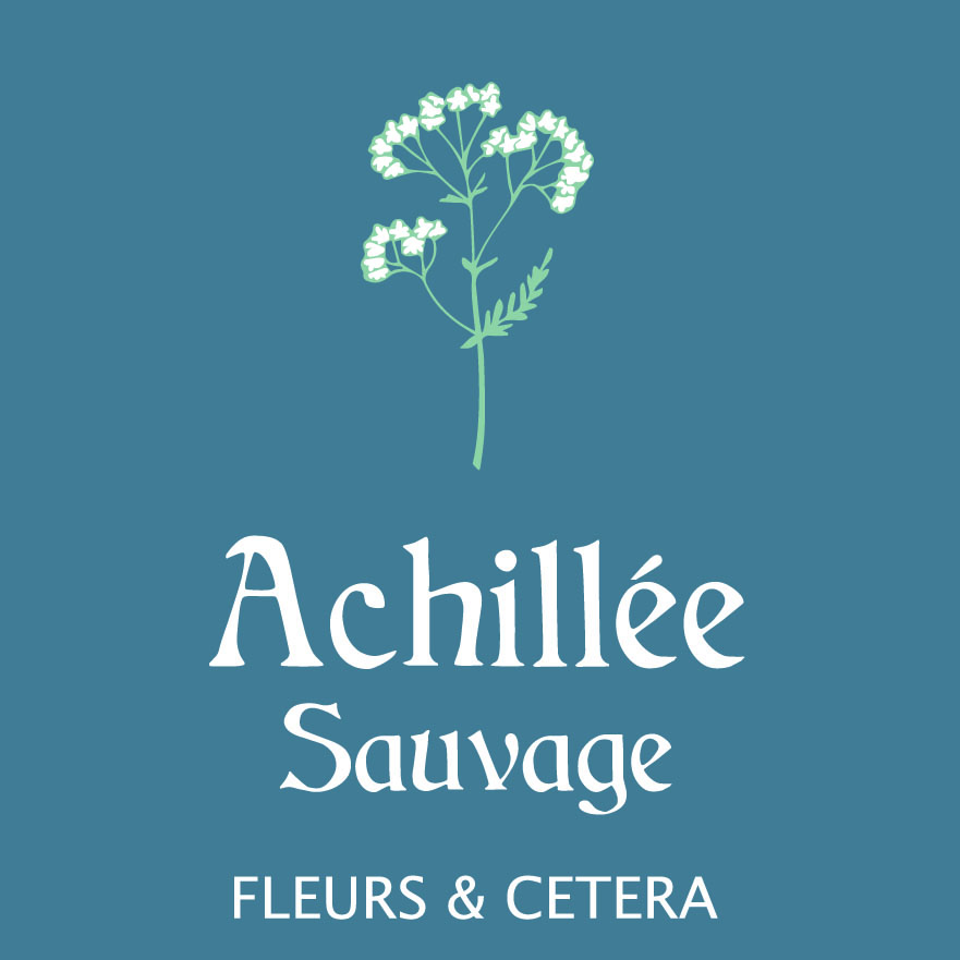 achilleesauvage